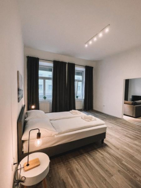 Big nice family apartment next to Hannovermarkt